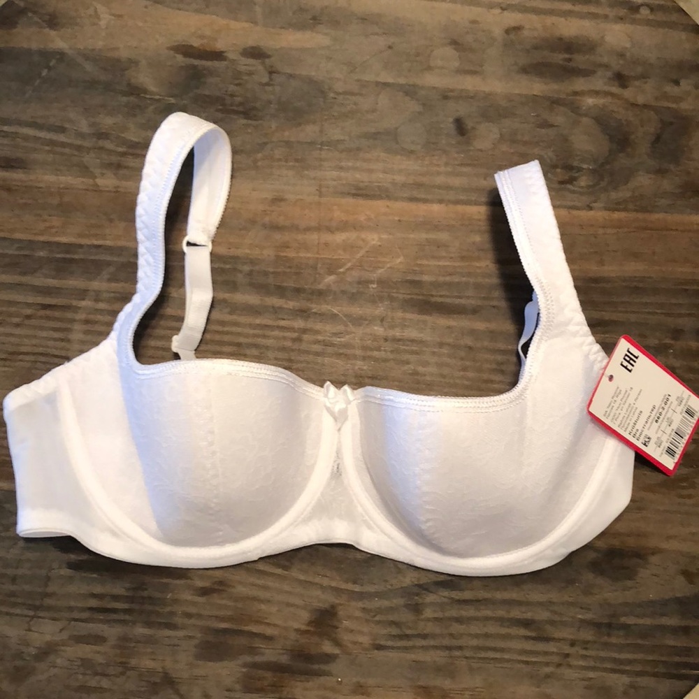 Lavinia Lingerie Bra 40C NWT